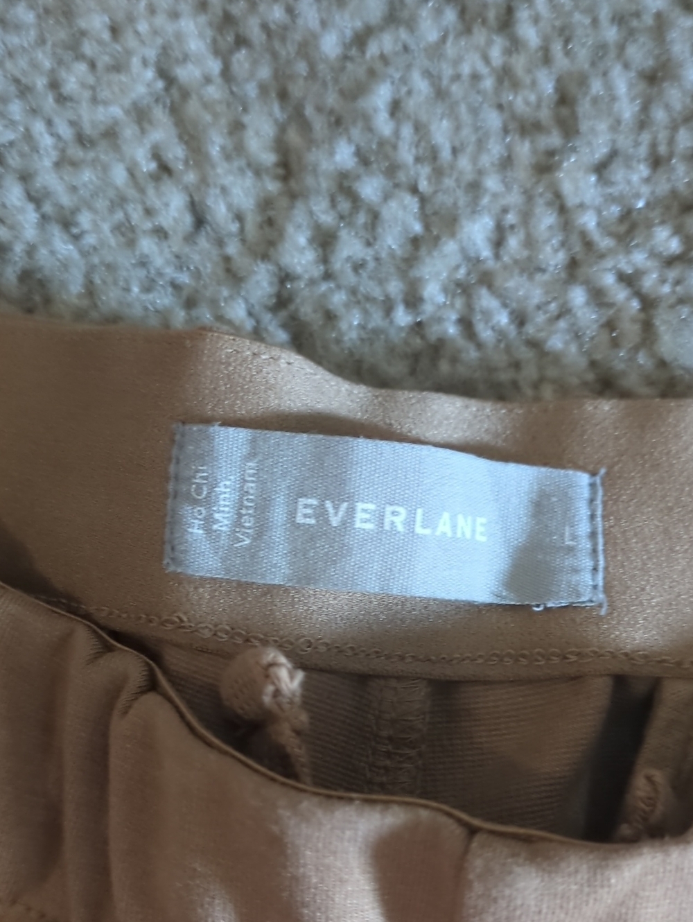 Everlane Slim Pleated Pants - Beige - Picture 2 of 5
